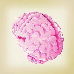 Image showing Human brain. 3D illustration. Vintage style.