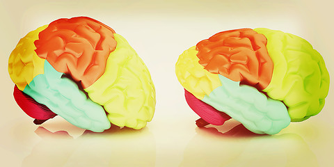 Image showing Human brains. 3D illustration. Vintage style.