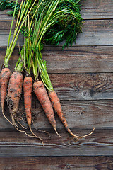 Image showing raw carrots on the ground