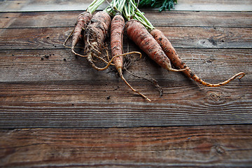 Image showing New harvest fresh organic carrots