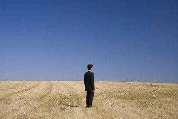 Image showing businessman standing in the field