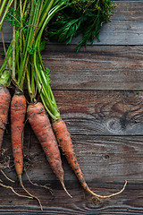 Image showing raw carrots on the ground