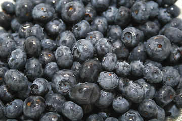 Image showing blue berries