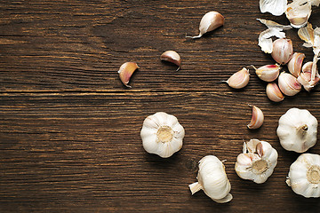 Image showing Garlic