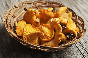 Image showing Mushroom Yellow chanterelle