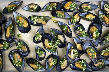 Image showing Mussels