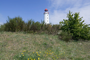 Image showing Lighthouse Dornbusch at Hiddensee