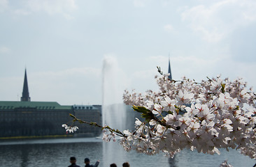 Image showing Spring at the Alster