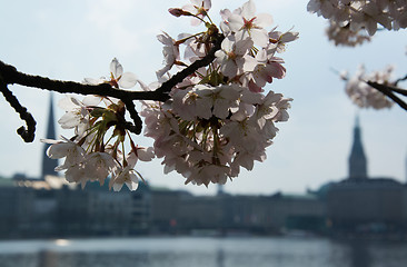 Image showing Spring at the Alster