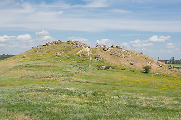 Image showing Mountain ears Kamyshin Volgograd region