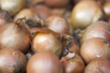 Image showing onion harvest photographed