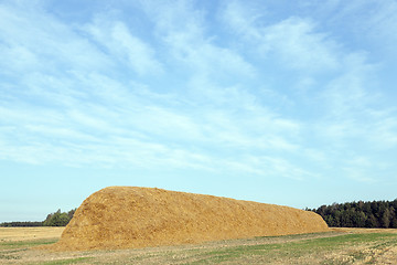 Image showing stack of straw in the field