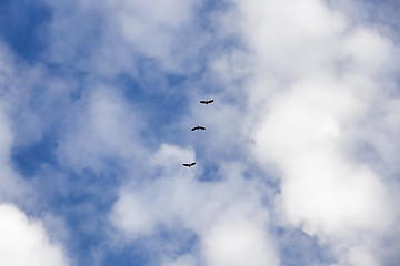 Image showing clouds in the sky