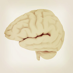 Image showing Human brain. 3D illustration. Vintage style.