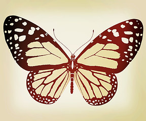 Image showing beauty butterfly. 3D illustration. Vintage style.