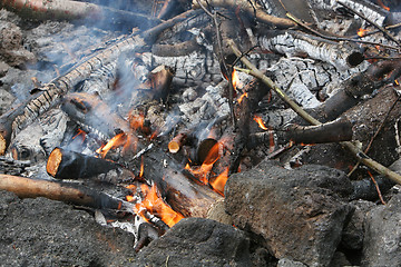 Image showing roasting fire