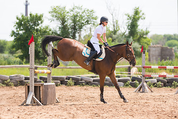 Image showing Volgograd, Russia - June 19, 2016: The moment of landing a horse with rider after the jump through the barrier