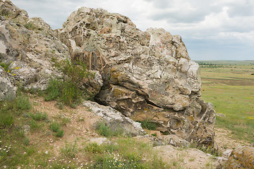 Image showing The fossils close-up on a mountain deep in Kamyshin Volgograd region