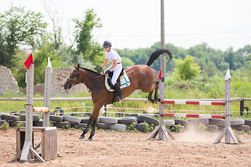 Image showing Volgograd, Russia - June 19, 2016: A view of the landing horse rider with a successful jump across the barrier