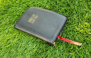 Image showing Bible on the ground