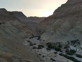 Image showing Solnedgang i Ein Gedi, Israel