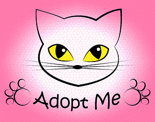 Image showing Cat Adoption Shows Kitten Kitty And Felines