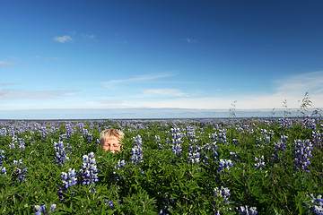 Image showing summer fun