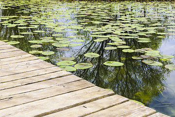 Image showing Jetty with water lilies