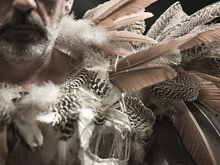 Image showing different size feathers in a pattern for naturistic background