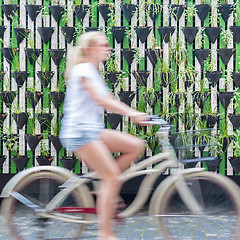 Image showing Woman riding bycicle by green urban vertical garden wall.