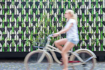 Image showing Woman riding bycicle by green urban vertical garden wall.