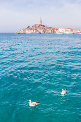 Image showing Beautiful View Of Rovinj City, Croatia, Europe