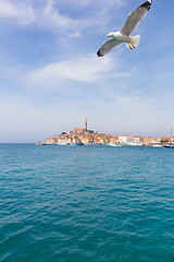 Image showing Beautiful View Of Rovinj City, Croatia, Europe