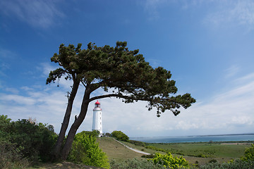 Image showing Lighthouse Dornbusch at Hiddensee