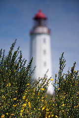 Image showing Lighthouse Dornbusch at Hiddensee