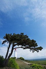 Image showing Lighthouse Dornbusch at Hiddensee