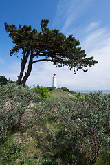 Image showing Lighthouse Dornbusch at Hiddensee