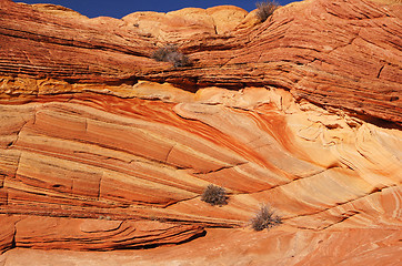 Image showing The Wave, Vermilion Cliffs National Monument, Arizona, USA