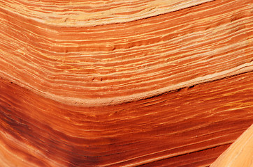 Image showing The Wave, Vermilion Cliffs National Monument, Arizona, USA