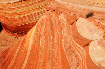 Image showing The Wave, Vermilion Cliffs National Monument, Arizona, USA