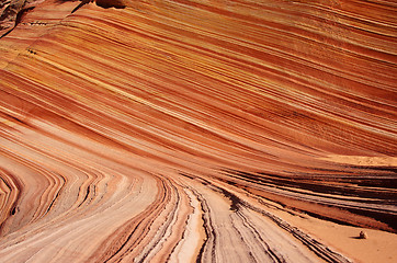 Image showing The Wave, Vermilion Cliffs National Monument, Arizona, USA