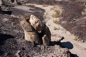 Image showing Ah-Shi-Sle-Pah Wilderness Study Area, New Mexico, USA