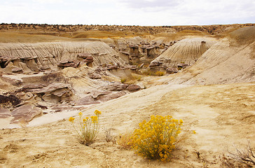 Image showing Ah-Shi-Sle-Pah Wilderness Study Area, New Mexico, USA