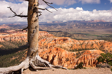 Image showing Bryce Canyon, Utah, USA