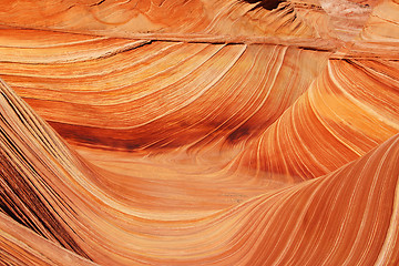 Image showing The Wave, Vermilion Cliffs National Monument, Arizona, USA