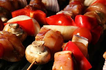 Image showing barbecue skewer