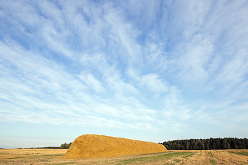 Image showing stack of straw in the field