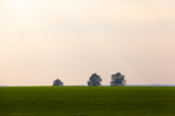 Image showing Nature in autumn season