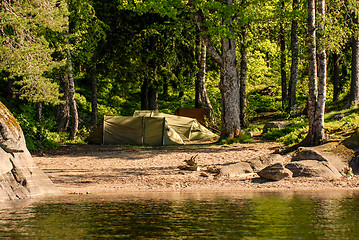 Image showing Camping in the forest