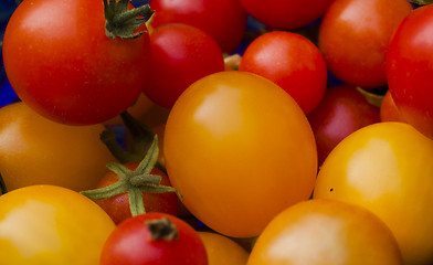 Image showing cocktail tomatoes